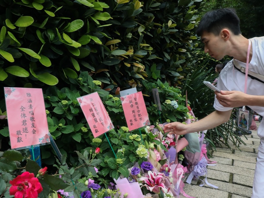 追忆邓丽君：跨越海峡的文化记忆