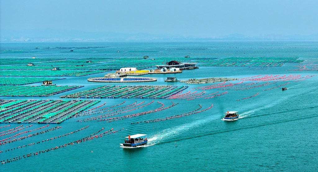 山东荣成：海上“订单”旅游旺