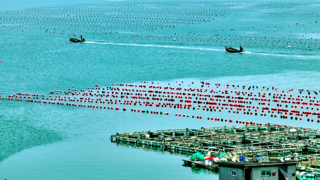 山东荣成：海上“订单”旅游旺