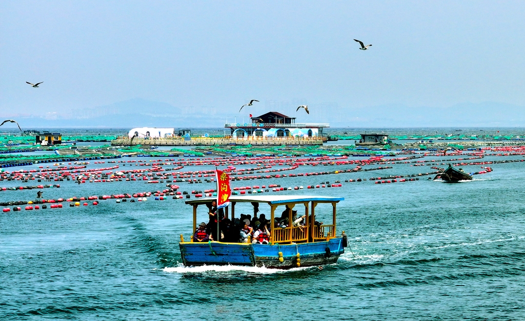 山东荣成：海上“订单”旅游旺