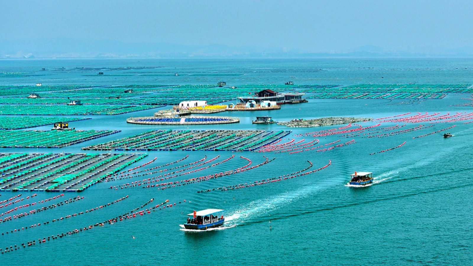 山东荣成：海上“订单”旅游旺