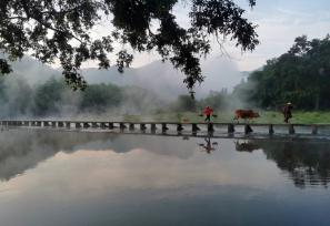 浙江丽水：缙云仙都景区晨雾缭绕