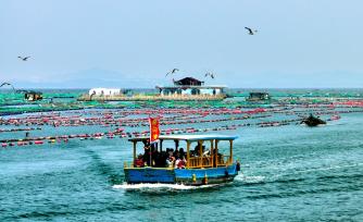 山东荣成：海上“订单”旅游旺