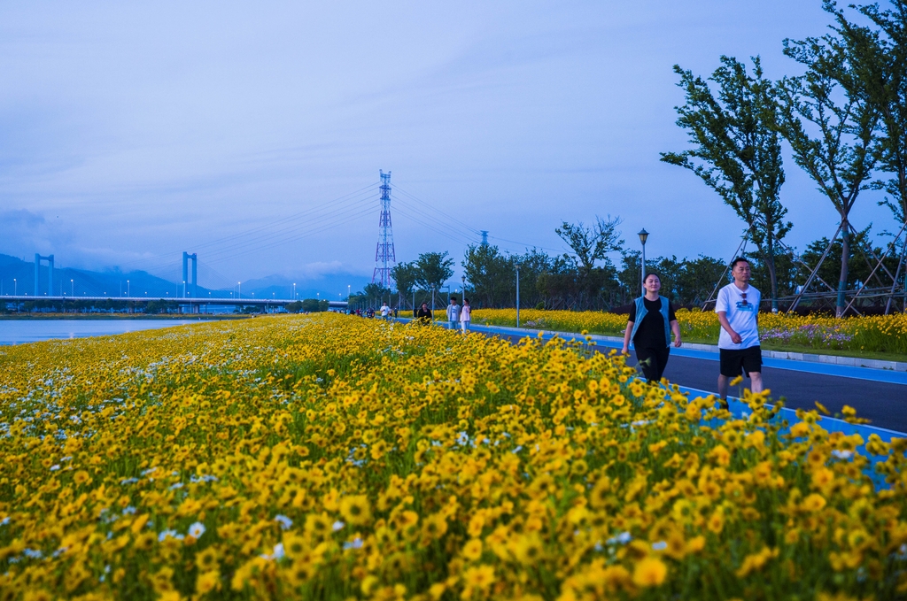 浙江宁波：海湾花海惹人醉