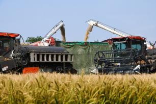 四川阆中：初夏时节麦收忙