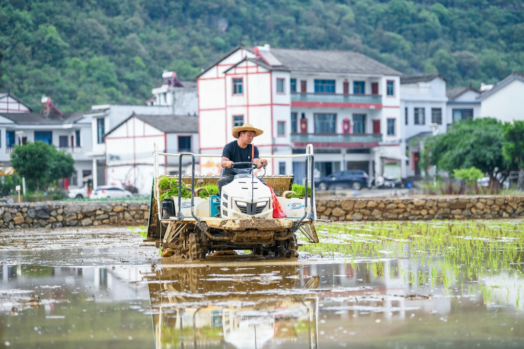 贵州兴义：高标准农田展画卷