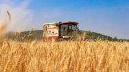 安徽淮北：小麦开镰收获忙