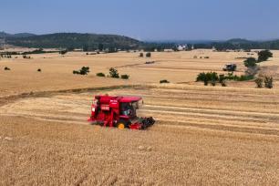 安徽淮北：小麦开镰收获忙