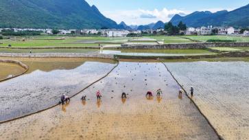 贵州兴义：高标准农田展画卷