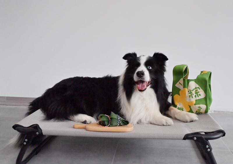 端午节临近 长春商家推出“宠物粽子”