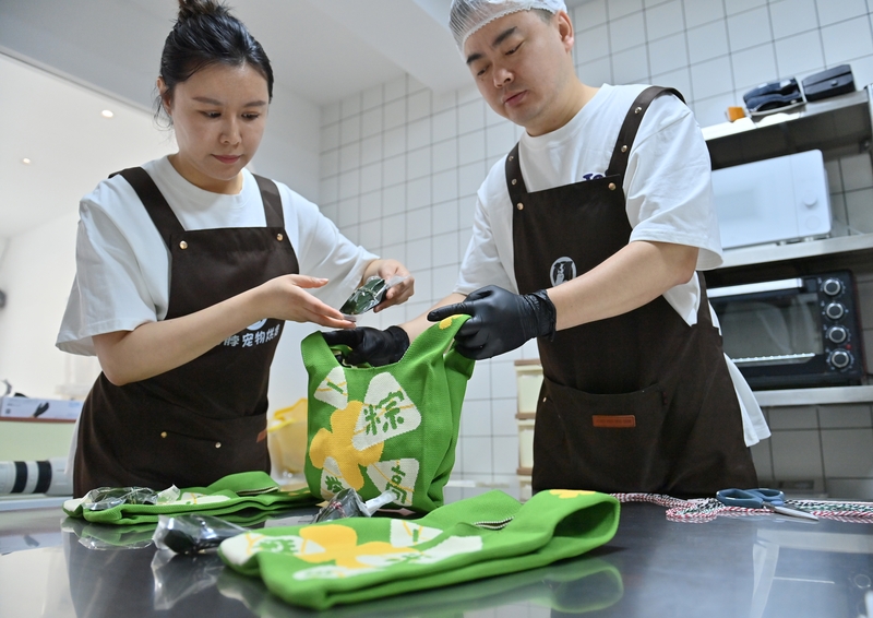 端午节临近 长春商家推出“宠物粽子”