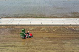 辽宁沈阳：水稻插秧忙