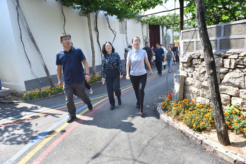 山东枣庄：葡萄生态村吸引“纳凉客”