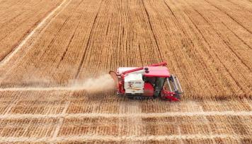 湖北十堰：麦田抢收忙