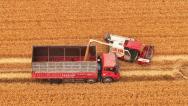 江苏淮安：抢收小麦 颗粒归仓