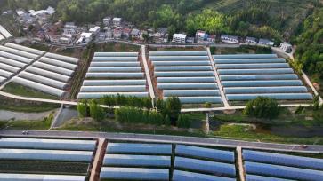 湖北房县：智慧农业赋能农民增收