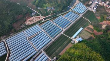 湖北房县：智慧农业赋能农民增收