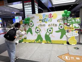 安徽合肥：粽叶飘香迎端午 美好旅途新体验