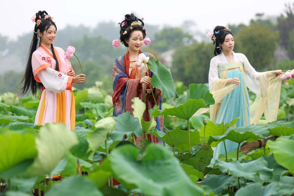 湖北襄阳：“露营+赏花”带火乡村游