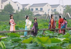 湖北襄阳：“露营+赏花”带火乡村游