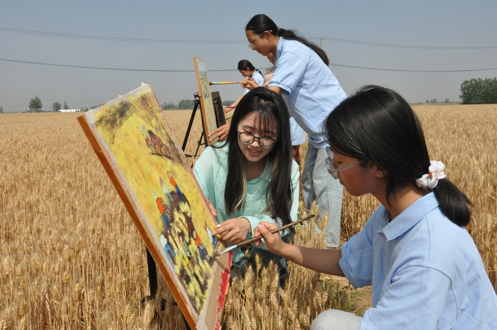 江苏连云港：麦田“画丰收”