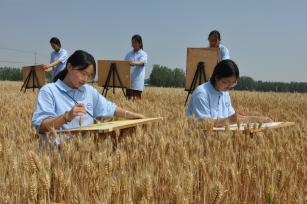 江苏连云港：麦田“画丰收”