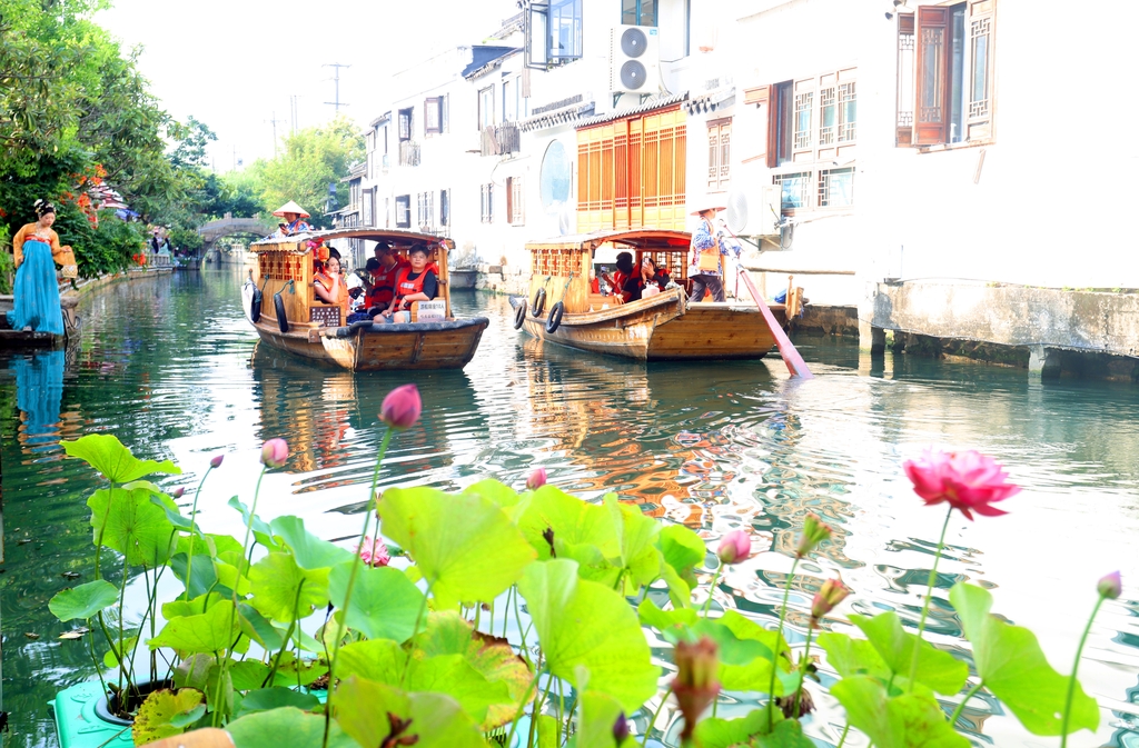 江苏苏州：众多游客乘小船 赏荷花