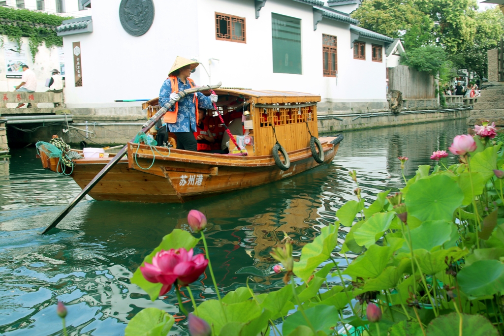 江苏苏州：众多游客乘小船 赏荷花