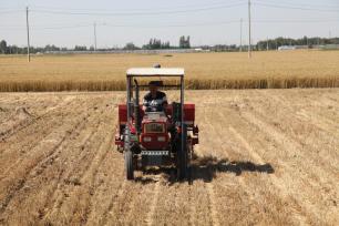 山东聊城：芒种至 夏收夏种夏管忙