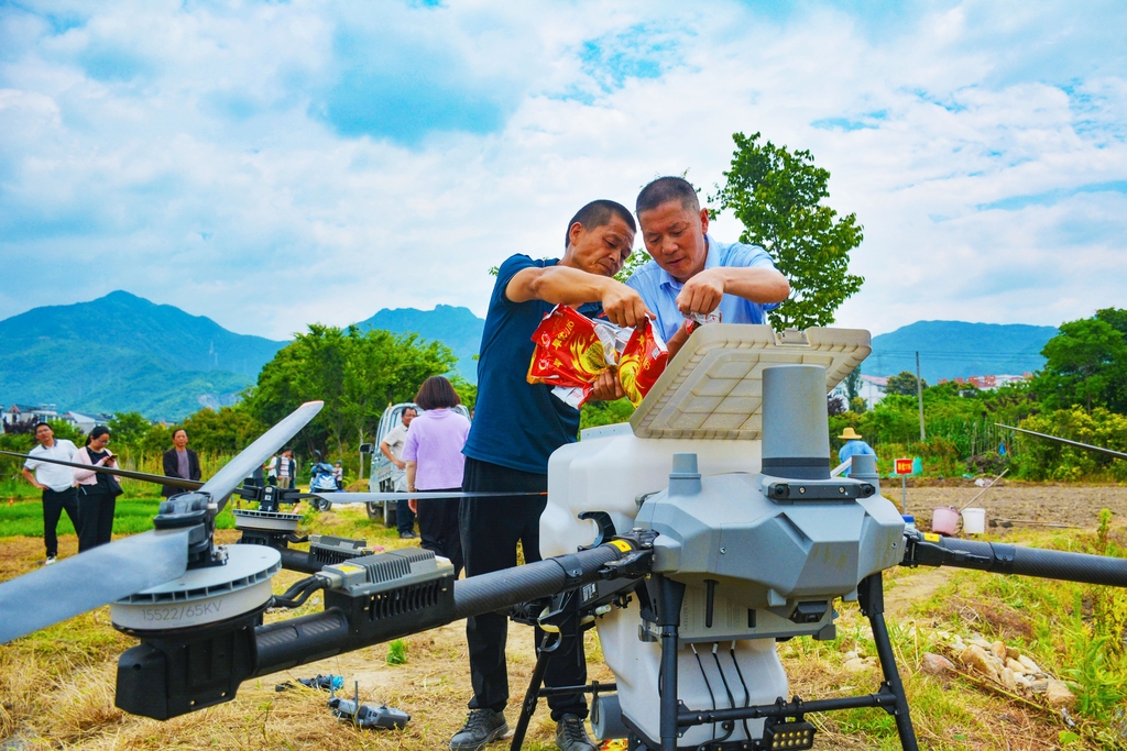 安徽安庆：农民利用无人机“飞播”作业