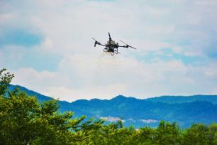 安徽安庆：农民利用无人机“飞播”作业