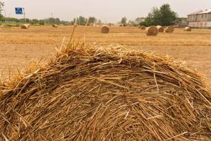 安徽宿州：秸秆离田综合利用“打包”忙