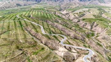 甘肃武威：科技植绿荒山变“林海”