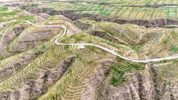 甘肃武威：科技植绿荒山变“林海”