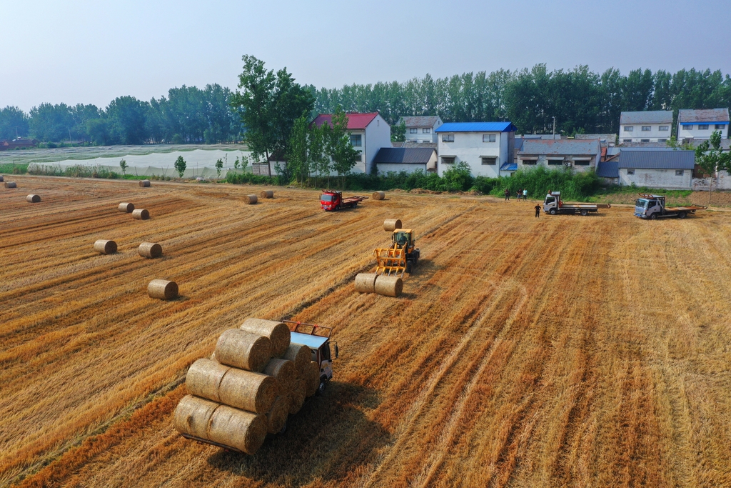 江苏徐州：秸秆回收再利用