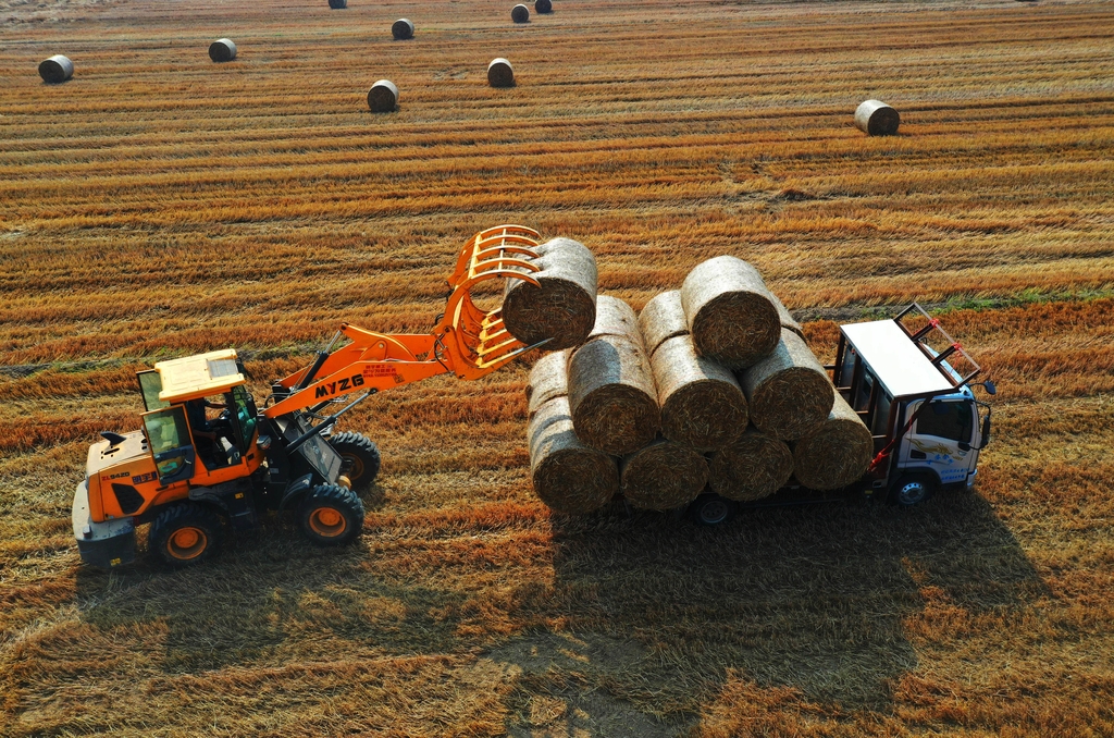 江苏徐州：秸秆回收再利用