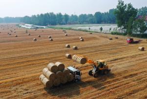 江苏徐州：秸秆回收再利用