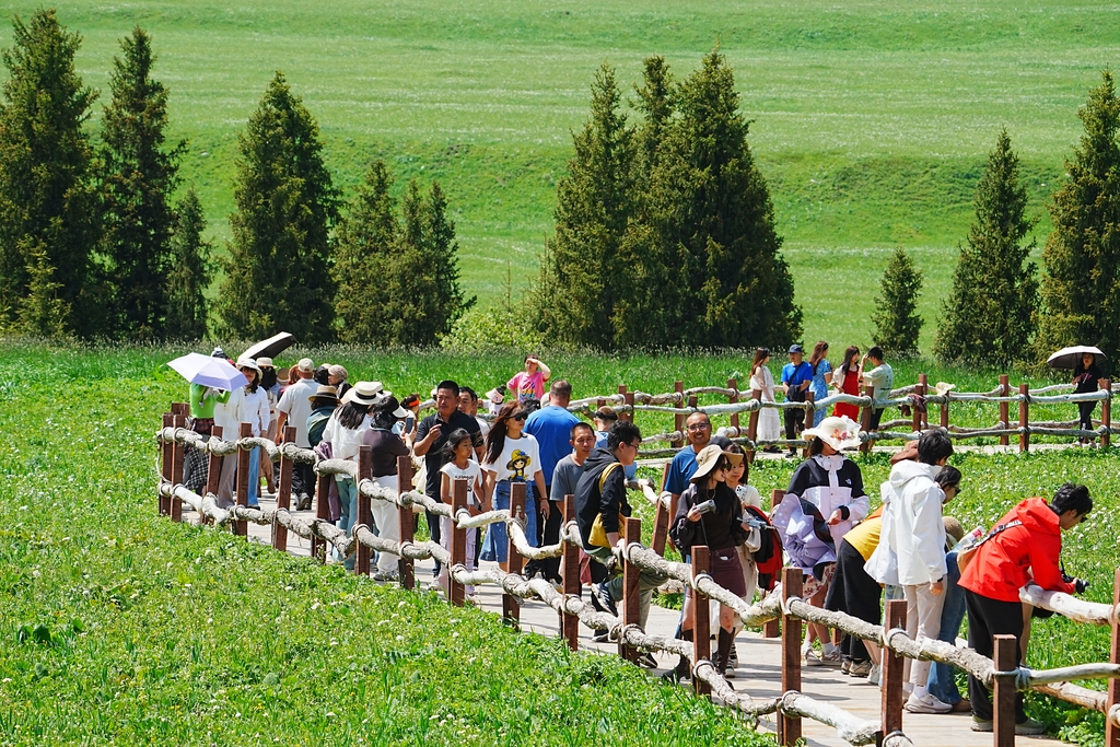 新疆伊犁：百里画廊 游人如织