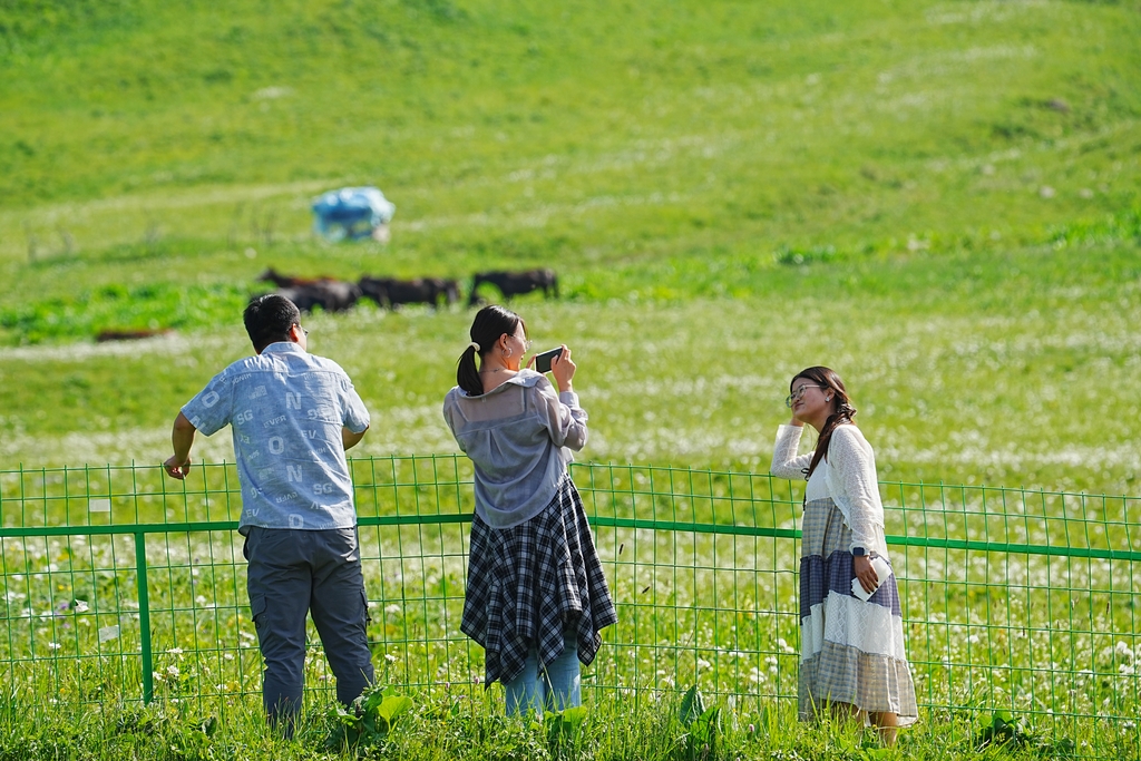 新疆伊犁：百里画廊 游人如织