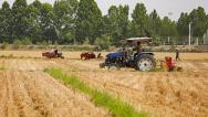 山西临汾：种植户抢收小麦、抢种玉米