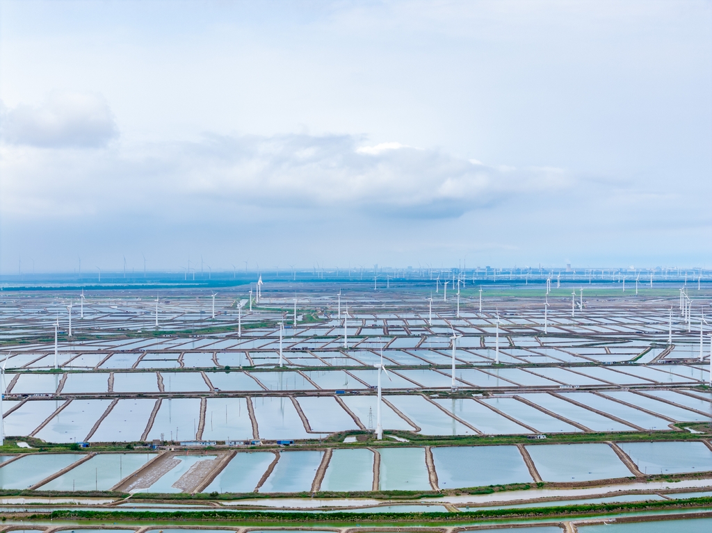 江苏盐城：风力发电机组矗立在沿海滩涂