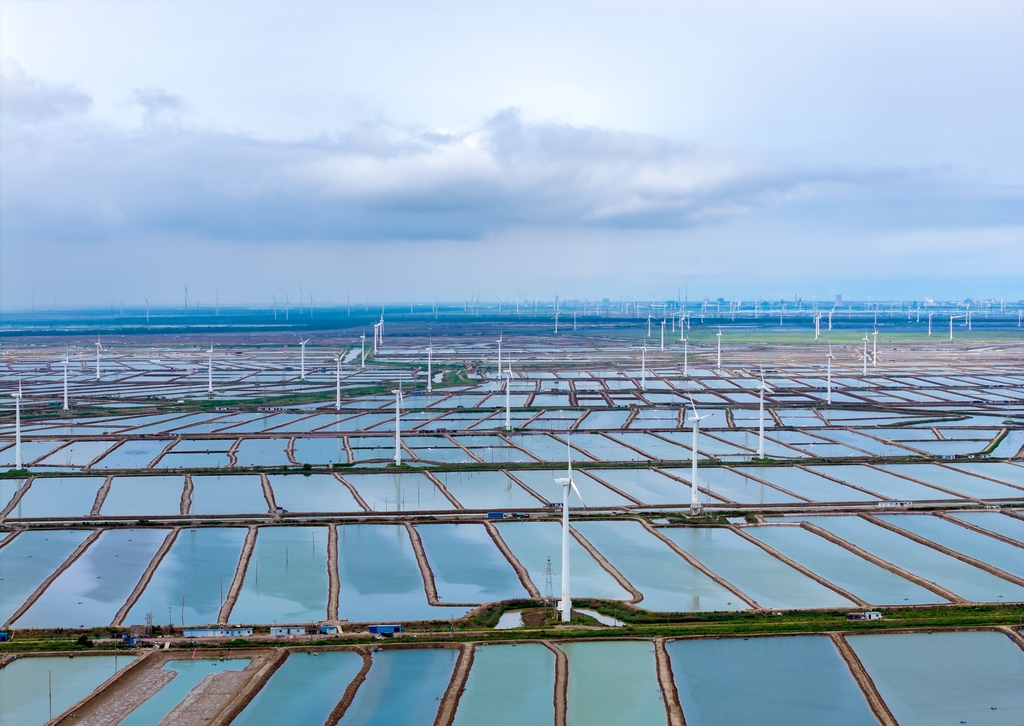 江苏盐城：风力发电机组矗立在沿海滩涂