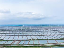 江苏盐城：风力发电机组矗立在沿海滩涂