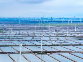 江苏盐城：风力发电机组矗立在沿海滩涂