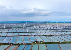 江苏盐城：风力发电机组矗立在沿海滩涂