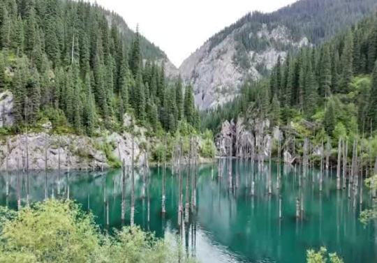 看中国游客如何玩转中亚！ | 大国外交零时差