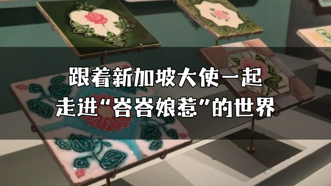 跟着新加坡驻华大使一起，走进“峇峇娘惹”的世界