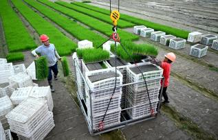 江苏南通：新农机助力种粮提质增效