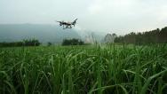 广西融水：无人机喷药助夏管