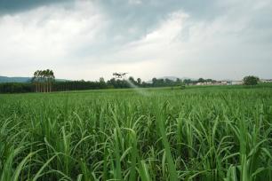 广西融水：无人机助力高效生产